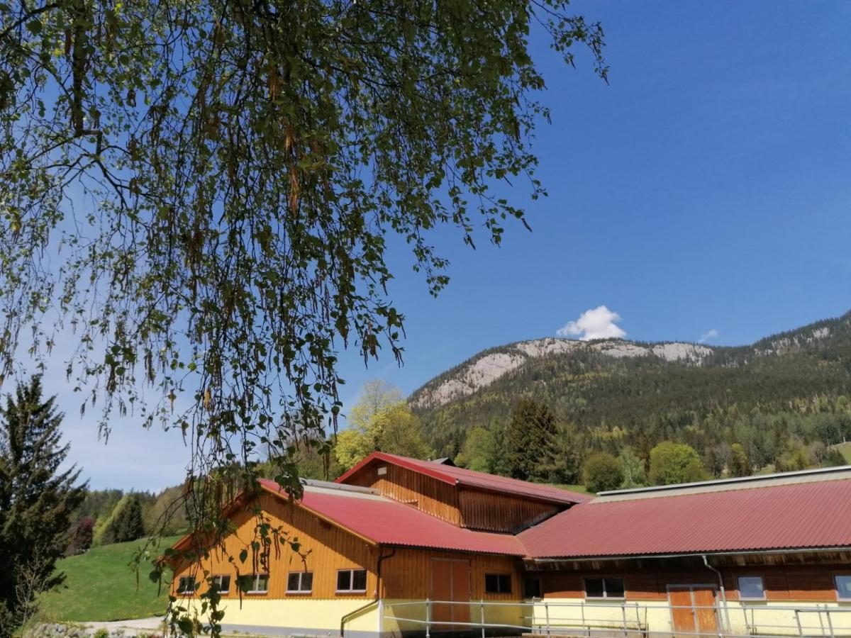 Villa Wagnerhof Pichl bei Aussee Exterior foto